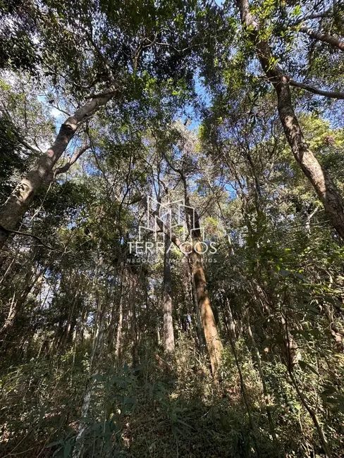 Foto 5 de Terreno / Lote à venda, 20000m2 em Bueno Brandao - MG