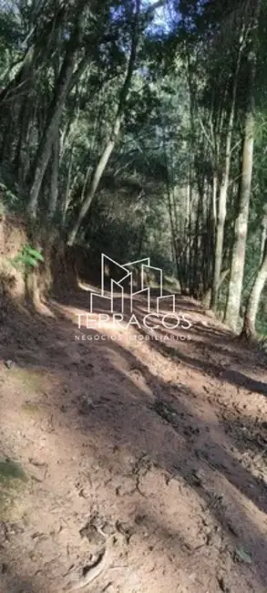 Foto 9 de Loja à venda, 17000m2 em Chácara Ivoturucaia, Campo Limpo Paulista - SP