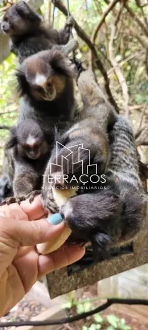 Foto 4 de Chácara com 2 quartos à venda, 2000m2 em Champirra, Jundiai - SP