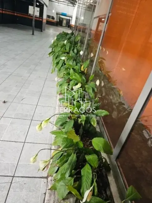 Foto 4 de Armazém / Galpão à venda e para alugar, 400m2 em Centro, Jundiai - SP