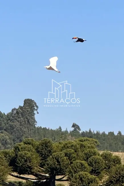 Foto 7 de Terreno / Lote à venda, 2000m2 em Munhoz - MG