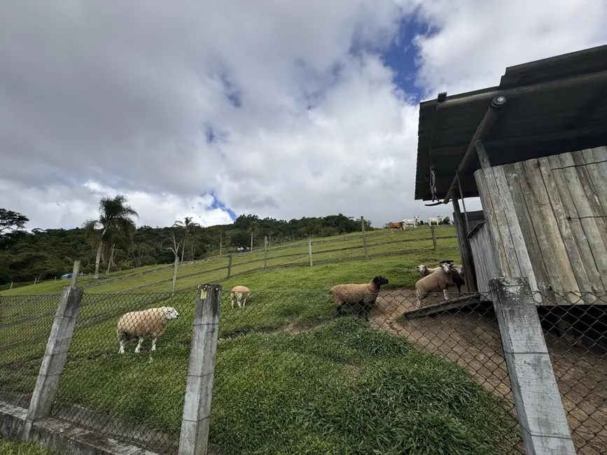 Foto 22 de Chácara à venda em Beira Rio, Biguacu - SC