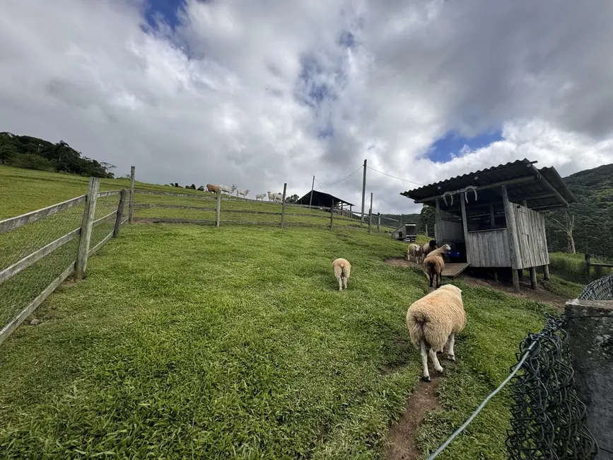 Foto 21 de Chácara à venda em Beira Rio, Biguacu - SC