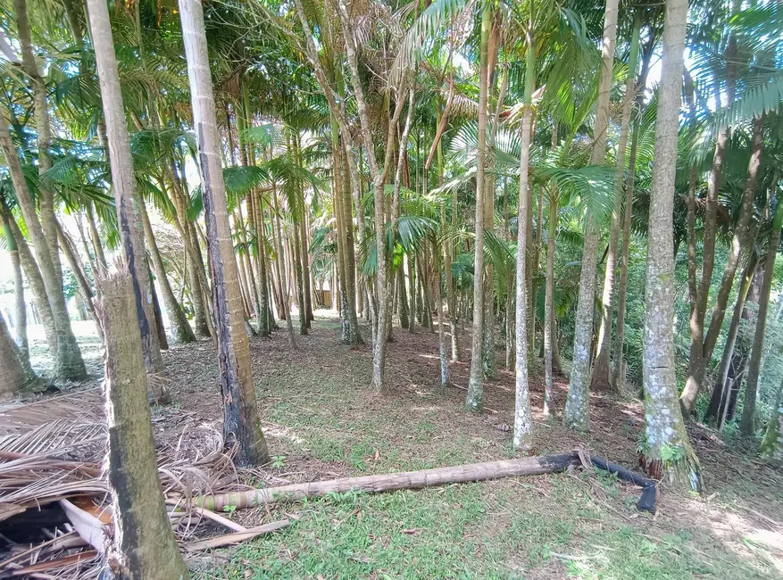 Foto 8 de Terreno / Lote à venda, 3500m2 em Boa Vista, Biguacu - SC