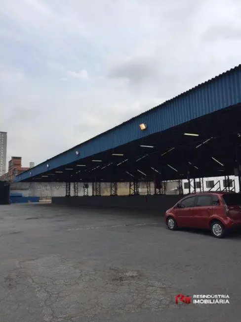 Foto 6 de Armazém / Galpão para alugar, 3247m2 em Vila Ribeiro de Barros, São Paulo - SP