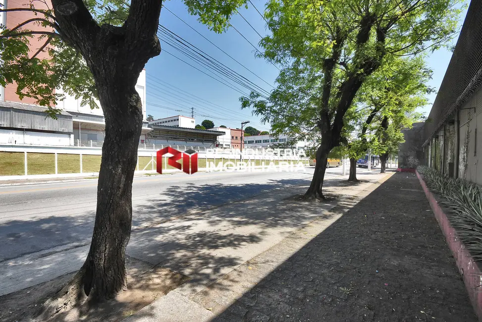Armazém / Galpão para alugar, 1361m2 em Jaguaré, São Paulo - SP - imagem 4 Foto 4 de Armazém / Galpão para alugar, 1361m2 em Jaguaré, São Paulo - SP