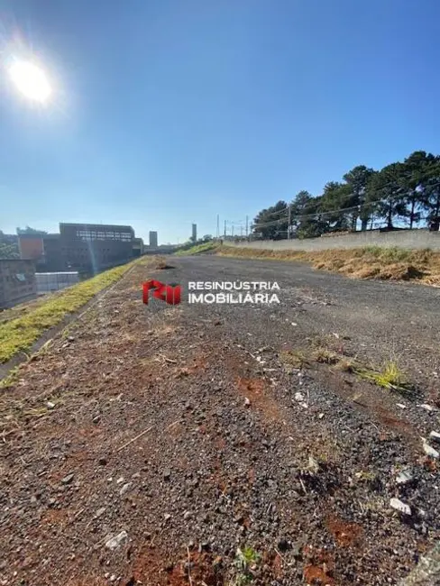 Terreno / Lote para alugar, 5700m2 em Jardim Mutinga, Barueri - SP - imagem 9 Foto 9 de Terreno / Lote para alugar, 5700m2 em Jardim Mutinga, Barueri - SP
