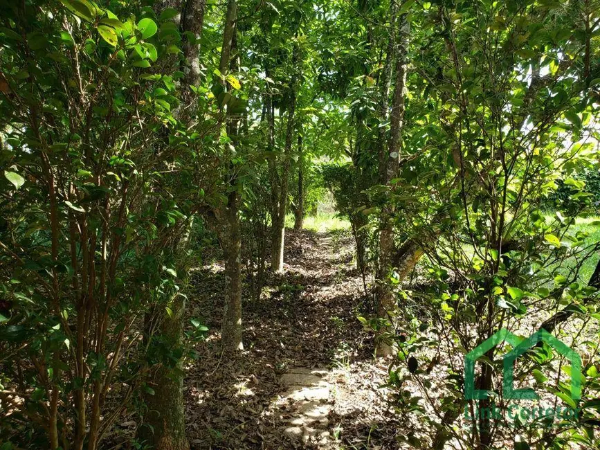 Chácara com 2 quartos à venda, 2280m2 em Chácaras São Bento, Valinhos - SP - imagem 8 Foto 8 de Chácara com 2 quartos à venda, 2280m2 em Chácaras São Bento, Valinhos - SP