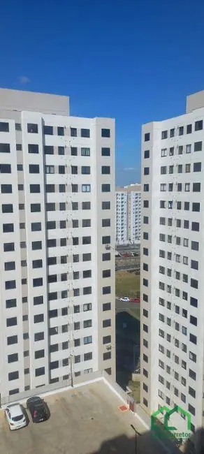 Apartamento com 2 quartos para alugar, 43m2 em Jardim Ibirapuera, Campinas - SP - imagem 9 Foto 9 de Apartamento com 2 quartos para alugar, 43m2 em Jardim Ibirapuera, Campinas - SP