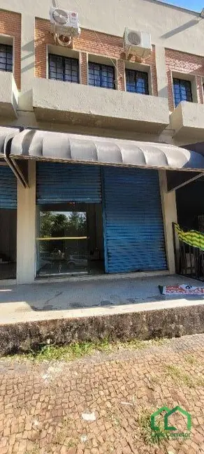 Foto 1 de Sala Comercial para alugar, 37m2 em Nova Campinas, Campinas - SP