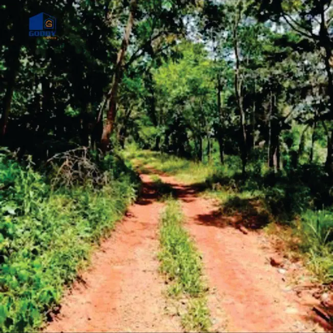 Foto 6 de Fazenda / Haras à venda, 823760m2 em Jaciara - MT