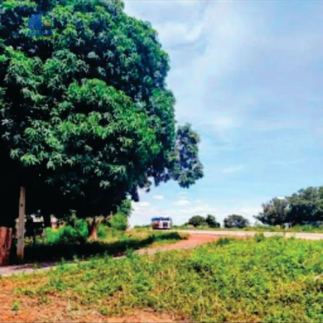 Foto 3 de Fazenda / Haras à venda, 823760m2 em Jaciara - MT