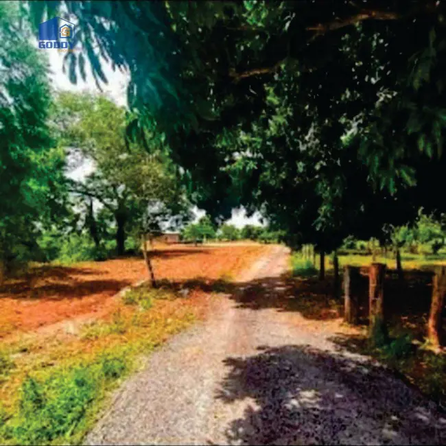 Foto 4 de Fazenda / Haras à venda, 823760m2 em Jaciara - MT