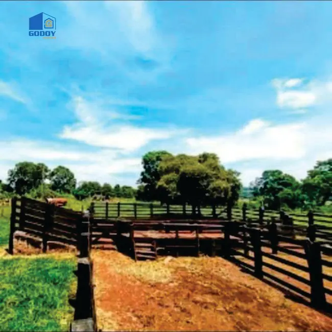 Foto 5 de Fazenda / Haras à venda, 823760m2 em Jaciara - MT