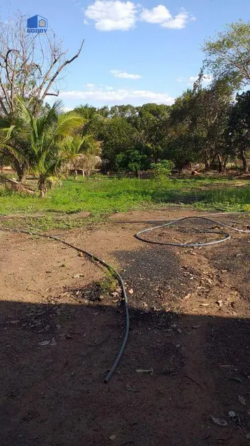 Sítio / Rancho à venda, 6000m2 em Rondonopolis - MT - imagem 3 Foto 3 de Sítio / Rancho à venda, 6000m2 em Rondonopolis - MT