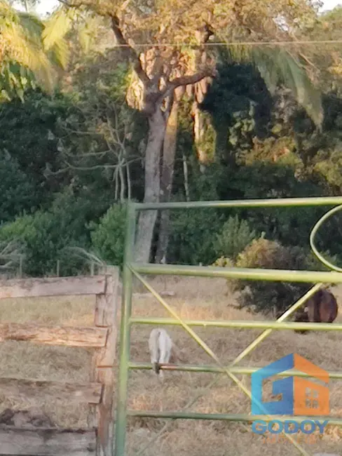 Foto 3 de Fazenda / Haras à venda, 4000000m2 em Santo Antonio Do Leverger - MT