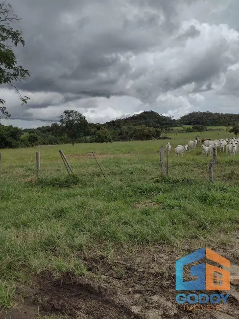 Foto 6 de Fazenda / Haras à venda, 4000000m2 em Santo Antonio Do Leverger - MT