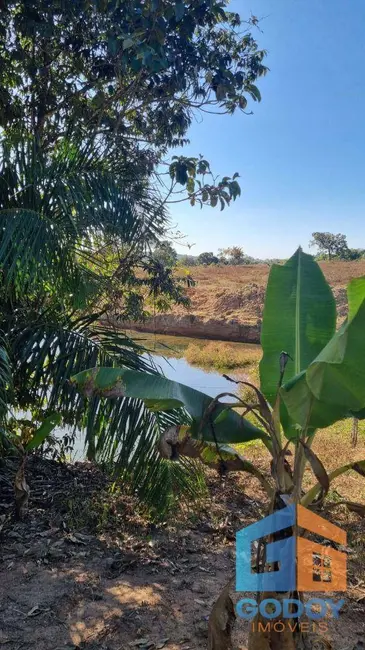 Foto 2 de Fazenda / Haras à venda em Paranatinga - MT