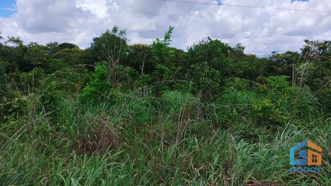 Foto 14 de Fazenda / Haras à venda em Paranatinga - MT