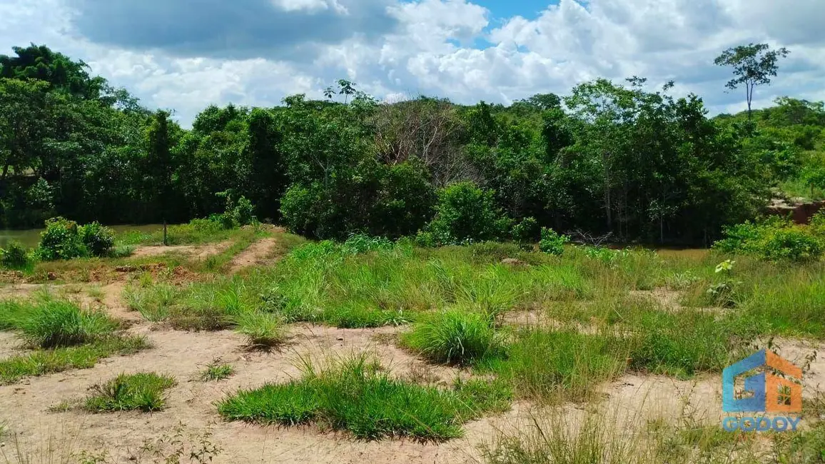 Foto 17 de Fazenda / Haras à venda em Paranatinga - MT