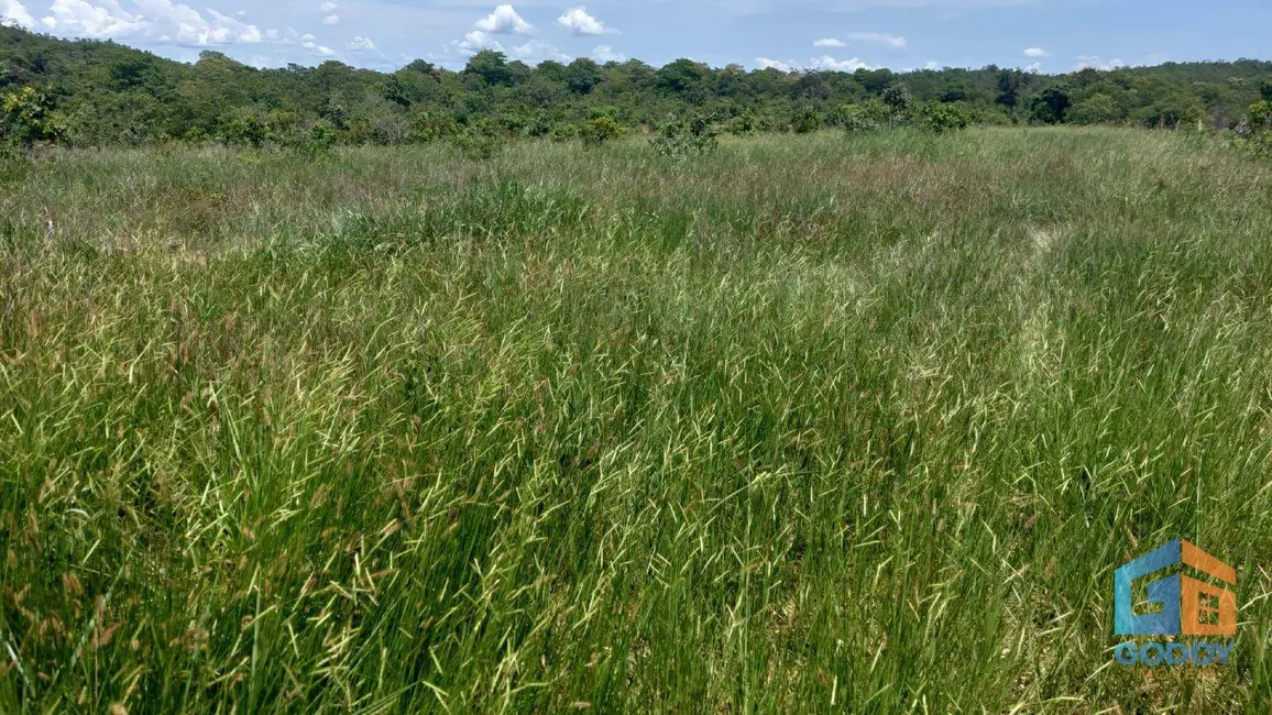 Foto 13 de Fazenda / Haras à venda em Paranatinga - MT
