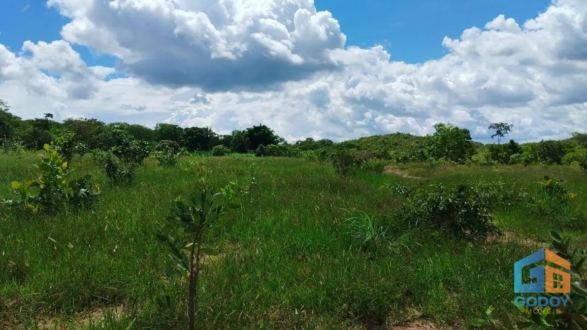 Foto 19 de Fazenda / Haras à venda em Paranatinga - MT