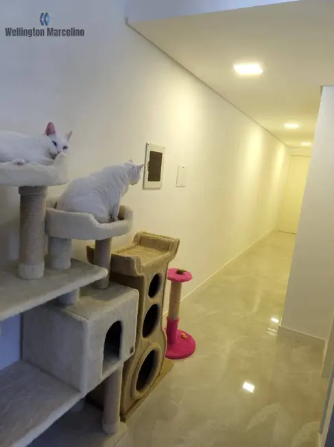 Foto 3 de Apartamento com 3 quartos à venda, 79m2 em Praia de Fora, Palhoca - SC