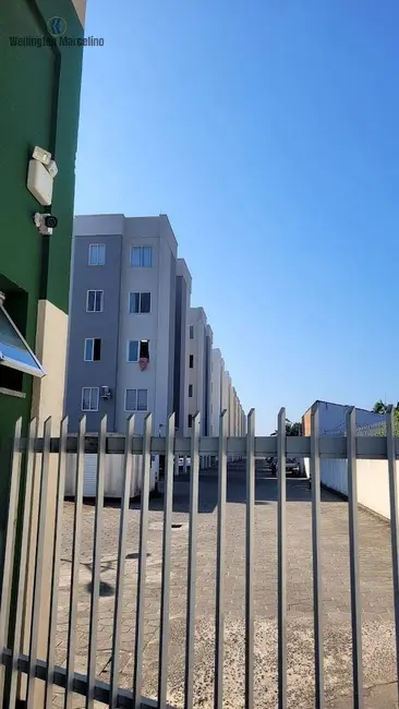 Foto 3 de Apartamento com 3 quartos à venda, 64m2 em Barra do Aririú, Palhoca - SC