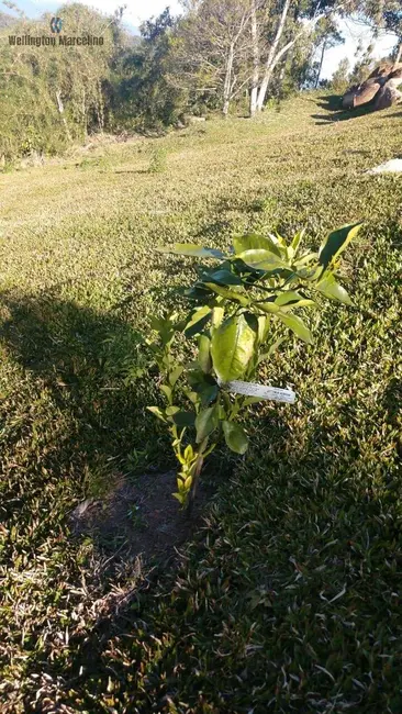 Foto 9 de Terreno / Lote à venda, 1270m2 em Centro, Rancho Queimado - SC