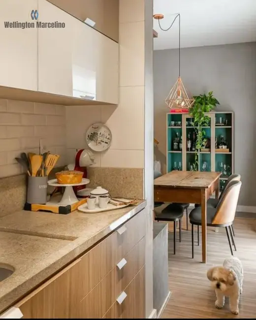 Foto 2 de Apartamento com 2 quartos à venda, 75m2 em Pedra Branca, Palhoca - SC