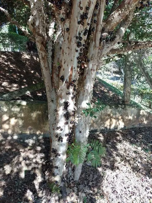 Casa com 4 quartos à venda, 1500m2 em Centro, Itatiba - SP - imagem 3 Foto 3 de Casa com 4 quartos à venda, 1500m2 em Centro, Itatiba - SP