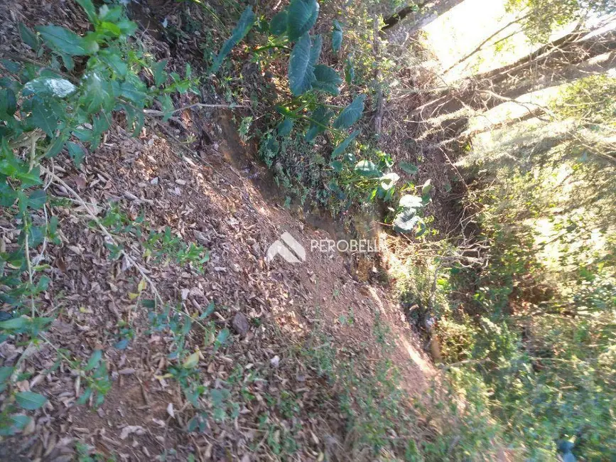 Terreno / Lote à venda, 422513m2 em Tuiuti - SP - imagem 4 Foto 4 de Terreno / Lote à venda, 422513m2 em Tuiuti - SP