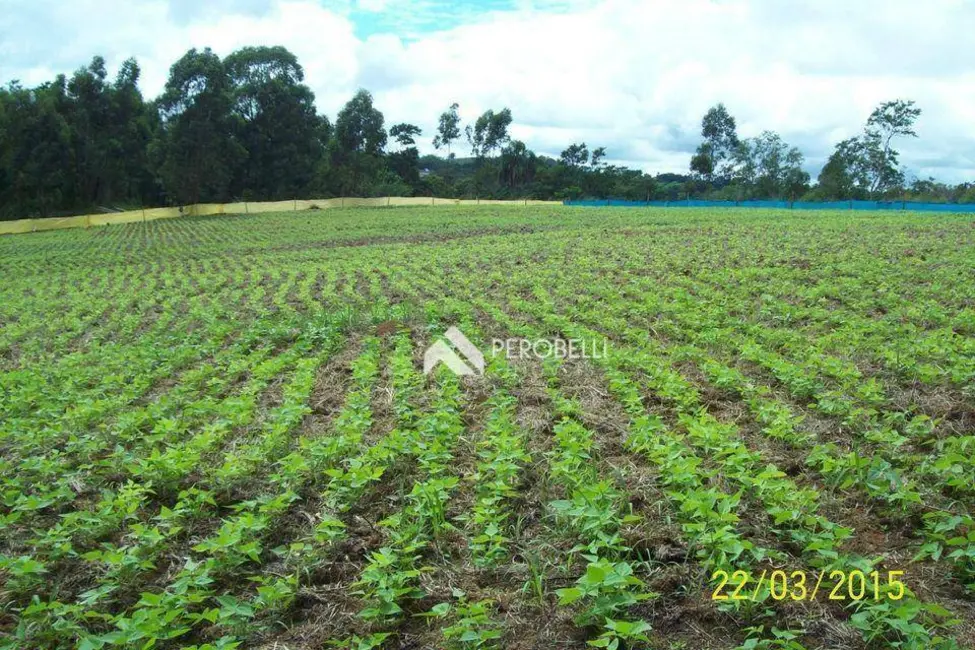 Sítio / Rancho à venda, 31570m2 em Centro, Amparo - SP - imagem 3 Foto 3 de Sítio / Rancho à venda, 31570m2 em Centro, Amparo - SP