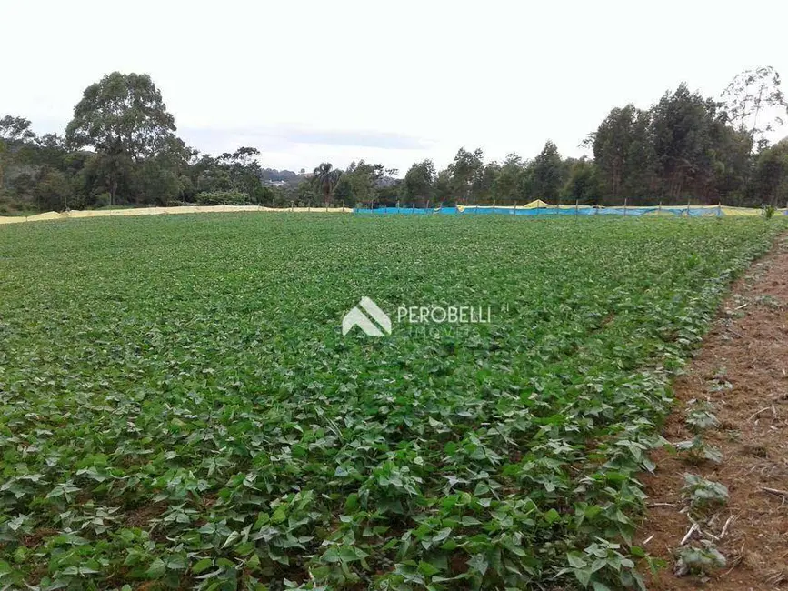 Sítio / Rancho à venda, 31570m2 em Centro, Amparo - SP - imagem 6 Foto 6 de Sítio / Rancho à venda, 31570m2 em Centro, Amparo - SP