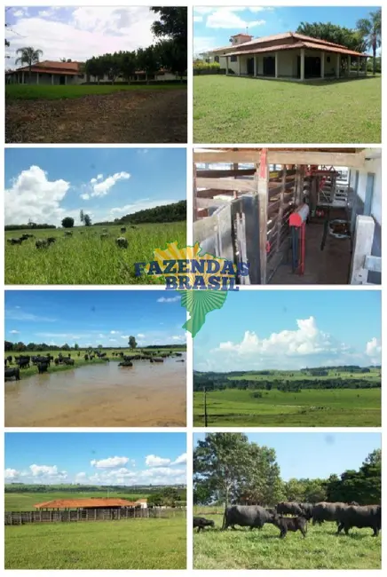 Fazenda / Haras à venda, 298m2 em Santana Do Itarare - PR - imagem 2 Foto 2 de Fazenda / Haras à venda, 298m2 em Santana Do Itarare - PR