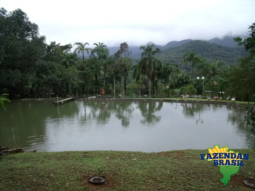Foto 3 de Chácara com 2 quartos à venda, 12271m2 em Centro, Morretes - PR