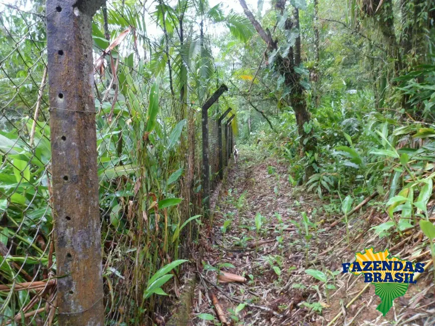 Foto 6 de Chácara com 2 quartos à venda, 12271m2 em Centro, Morretes - PR