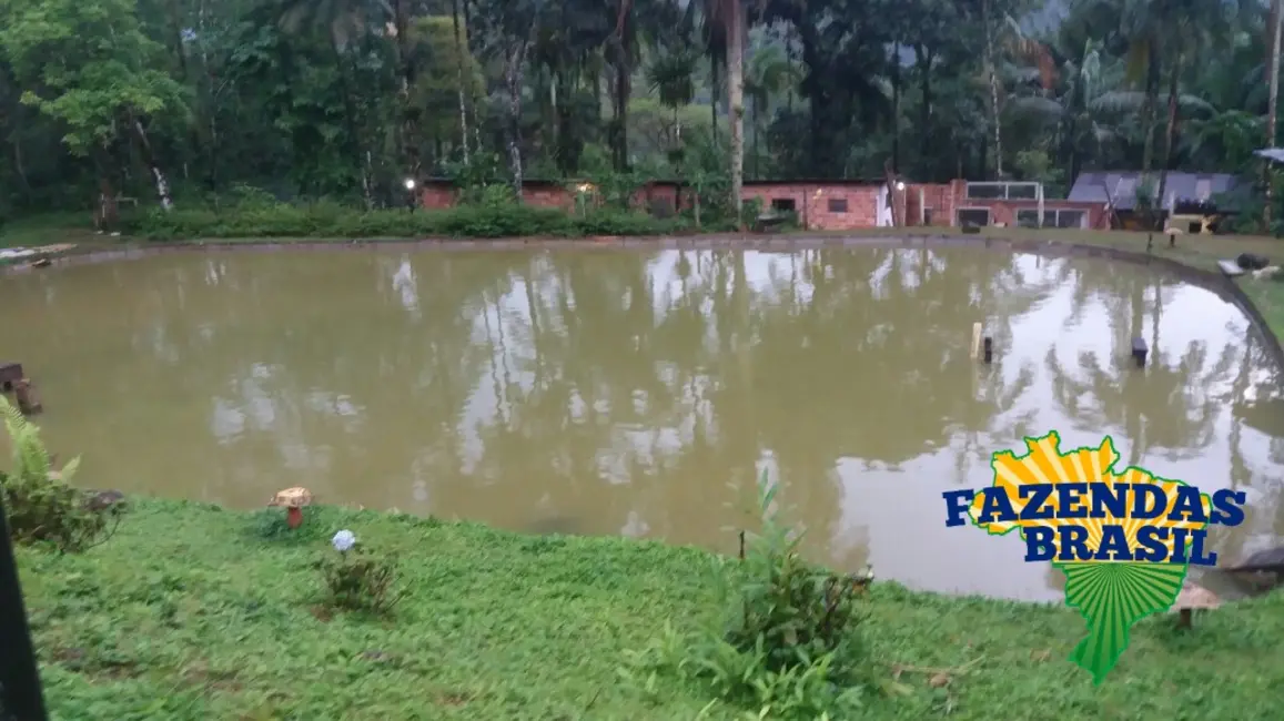 Foto 6 de Chácara com 3 quartos à venda, 6110m2 em Centro, Morretes - PR