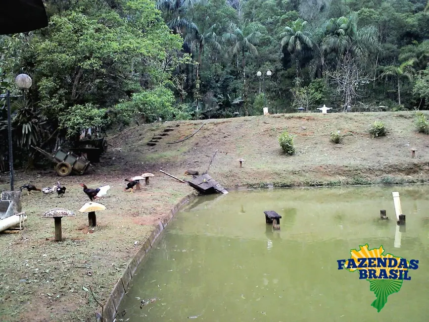 Foto 1 de Chácara com 3 quartos à venda, 6110m2 em Centro, Morretes - PR
