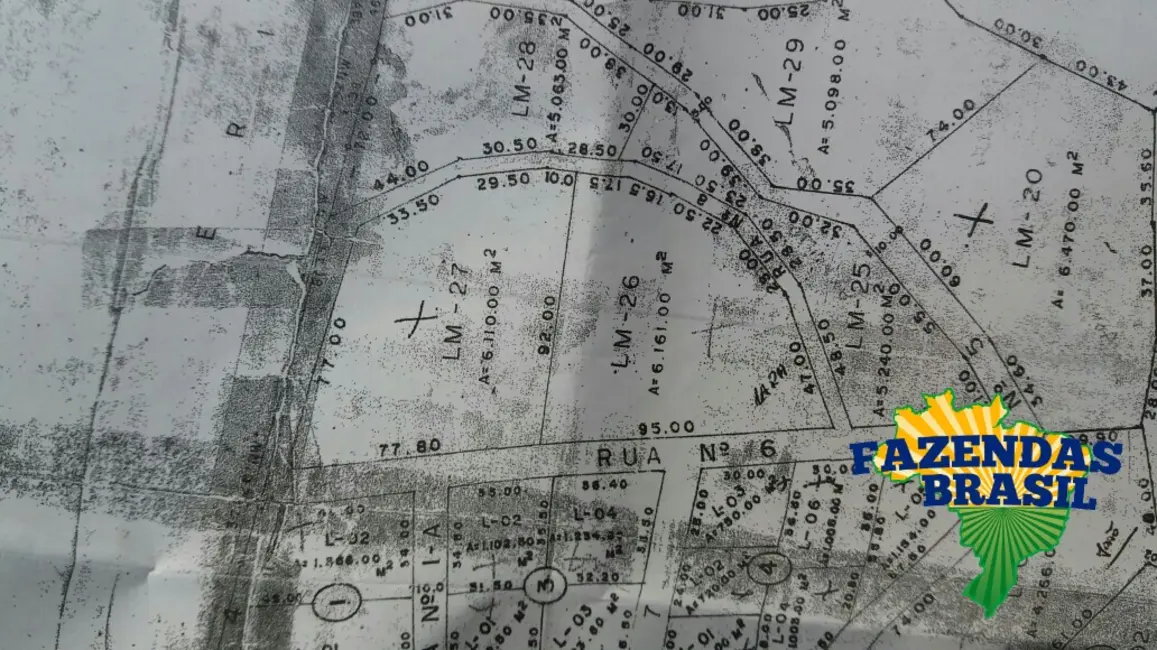 Foto 3 de Chácara com 3 quartos à venda, 6110m2 em Centro, Morretes - PR