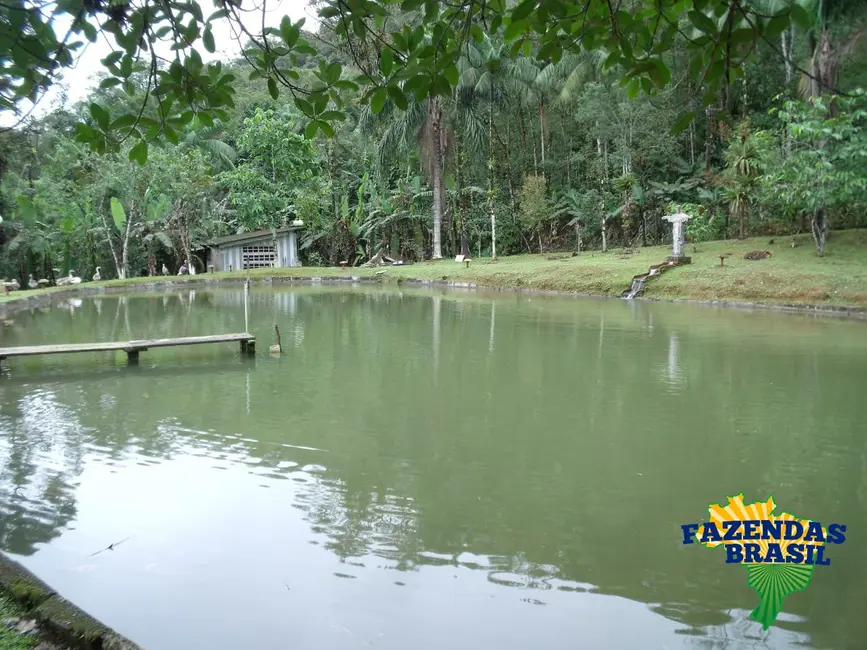 Foto 7 de Chácara com 3 quartos à venda, 6110m2 em Centro, Morretes - PR
