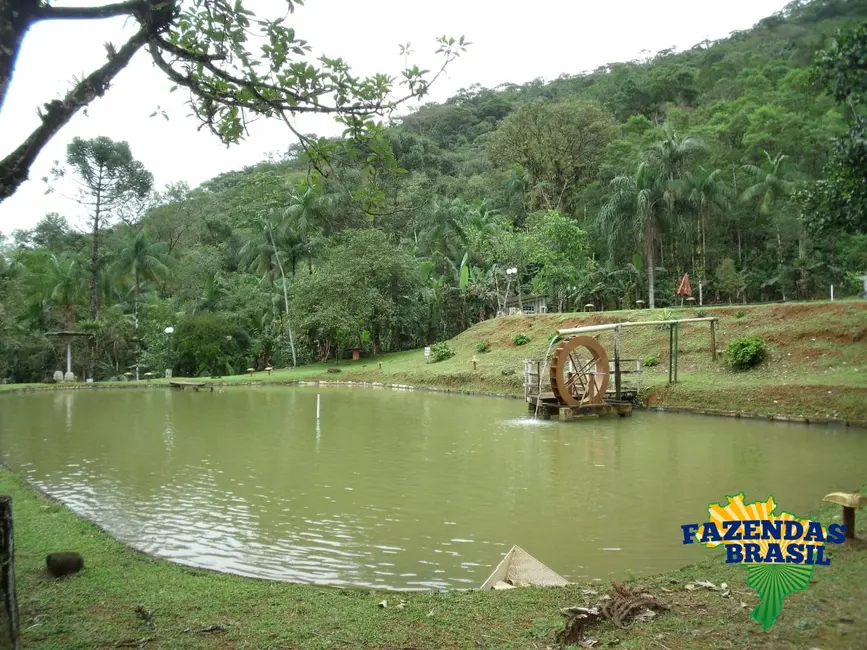 Foto 2 de Chácara com 3 quartos à venda, 6110m2 em Centro, Morretes - PR