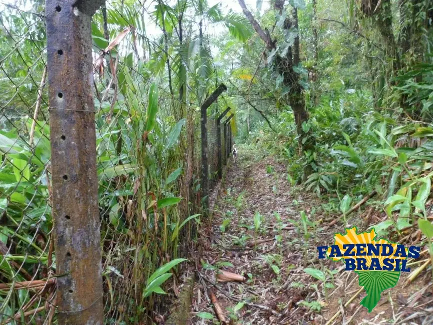 Foto 1 de Chácara com 1 quarto à venda, 6161m2 em Centro, Morretes - PR