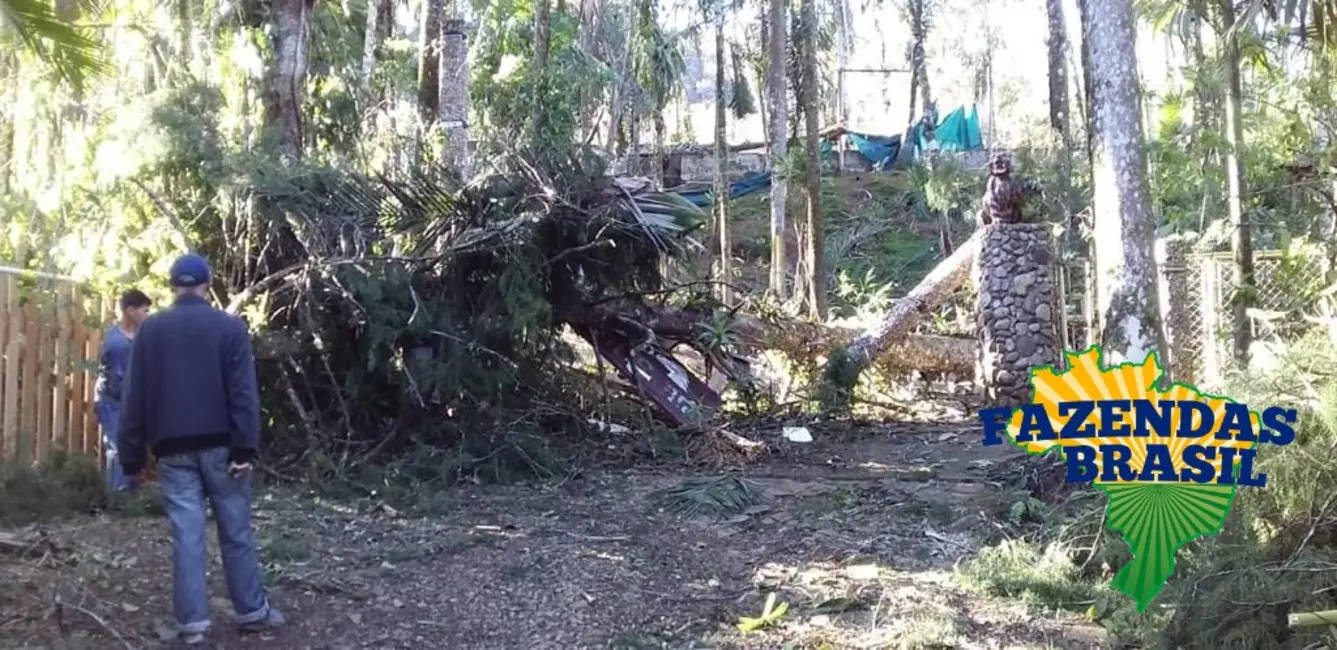 Foto 2 de Chácara com 1 quarto à venda, 6161m2 em Centro, Morretes - PR