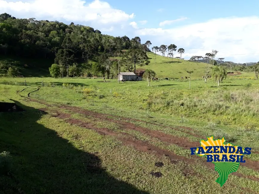 Foto 2 de Sítio / Rancho com 1 quarto à venda, 100m2 em Ponte Alta - SC