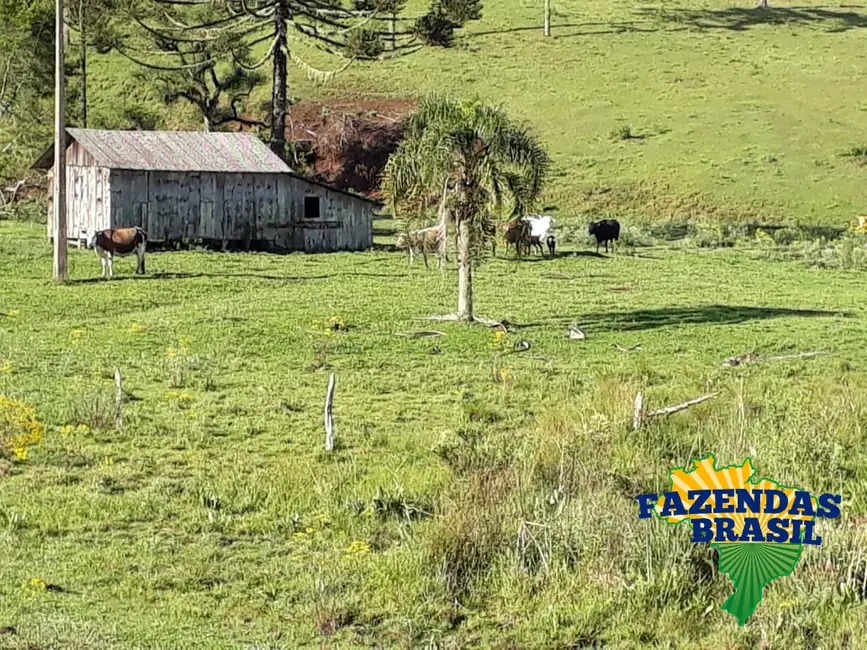 Foto 5 de Sítio / Rancho com 1 quarto à venda, 100m2 em Ponte Alta - SC