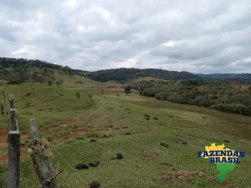 Foto 7 de Sítio / Rancho com 1 quarto à venda, 100m2 em Ponte Alta - SC