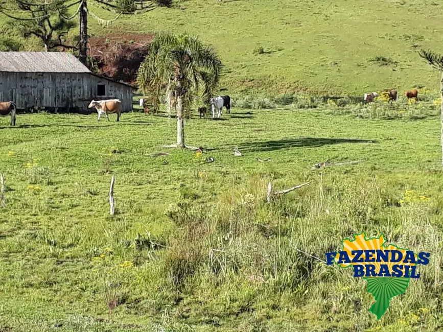 Foto 1 de Sítio / Rancho com 1 quarto à venda, 100m2 em Ponte Alta - SC