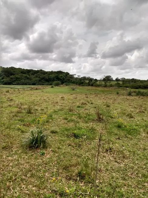 Foto 5 de Chácara com 2 quartos à venda, 90000m2 em Sentinela Do Sul - RS