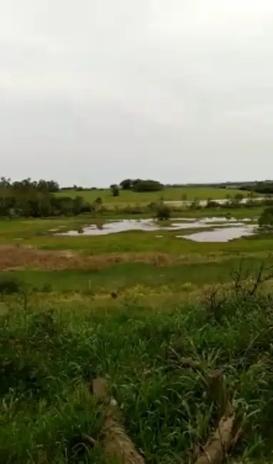 Foto 1 de Chácara com 2 quartos à venda, 90000m2 em Sentinela Do Sul - RS